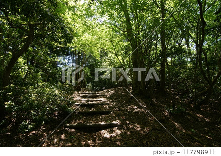 鳥取 四季の散歩 春 那岐山 登山 鳥取 四季の散歩 春 那岐山 登山 117798911