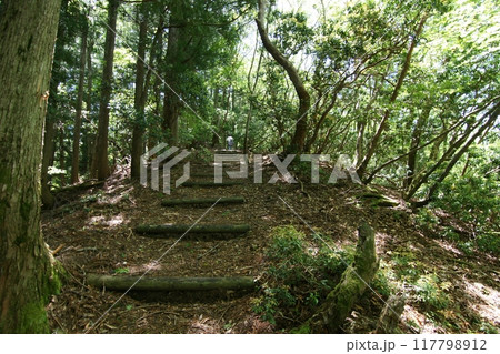 鳥取　四季の散歩　春　那岐山　登山 117798912