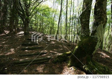 鳥取　四季の散歩　春　那岐山　登山 117798915