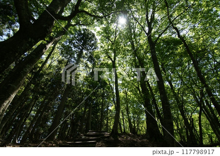 鳥取 四季の散歩 春 那岐山 登山 鳥取 四季の散歩 春 那岐山 登山 117798917