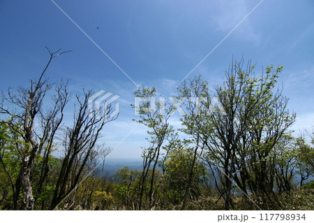 鳥取 四季の散歩 春 那岐山 登山 鳥取 四季の散歩 春 那岐山 登山 117798934