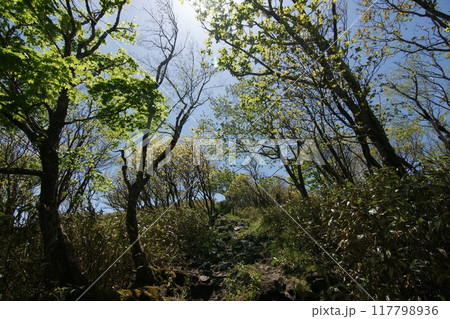 鳥取 四季の散歩 春 那岐山 登山 鳥取 四季の散歩 春 那岐山 登山 117798936