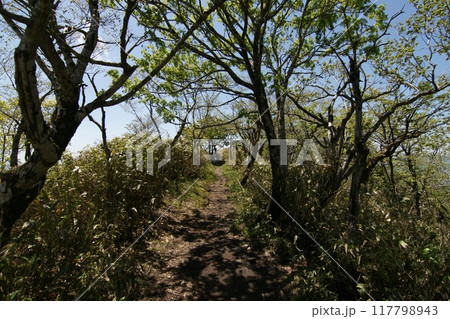鳥取 四季の散歩 春 那岐山 登山 鳥取 四季の散歩 春 那岐山 登山 117798943