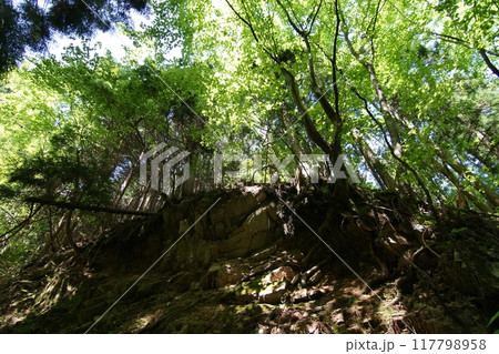 鳥取 四季の散歩 春 那岐山 登山 鳥取 四季の散歩 春 那岐山 登山 117798958