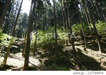 鳥取 四季の散歩 春 那岐山 登山 鳥取 四季の散歩 春 那岐山 登山 117798970