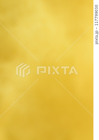 和紙と絹綿によるボケ味表現【背景素材】 117799030