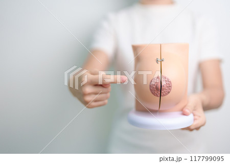 woman holding Breast Anatomy model. Breast Augmentation Surgery, October Breast Cancer Awareness month, implant, Diagnosis, Beauty woman enlargement and medical education concept 117799095
