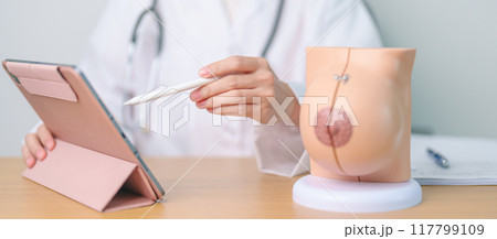 Doctor with Breast Anatomy model. Breast Augmentation Surgery, October Breast Cancer Awareness month, implant, Diagnosis, Beauty woman enlargement and medical education concept 117799109