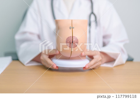 Doctor with Breast Anatomy model. Breast Augmentation Surgery, October Breast Cancer Awareness month, implant, Diagnosis, Beauty woman enlargement and medical education concept Doctor with Breast Anatomy model. Breast Augmentation Surgery, October Breast Cancer Awareness month, implant, Diagnosis, Beauty woman enlargement and medical education concept 117799118