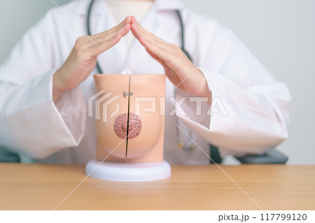 Doctor hand cover Breast Anatomy model. Breast Augmentation Surgery, October Breast Cancer Awareness month, implant, Diagnosis, Beauty woman enlargement and medical education concept Doctor hand cover Breast Anatomy model. Breast Augmentation Surgery, October Breast Cancer Awareness month, implant, Diagnosis, Beauty woman enlargement and medical education concept 117799120
