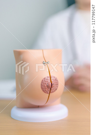 Doctor with Breast Anatomy model. Breast Augmentation Surgery, October Breast Cancer Awareness month, implant, Diagnosis, Beauty woman enlargement and medical education concept Doctor with Breast Anatomy model. Breast Augmentation Surgery, October Breast Cancer Awareness month, implant, Diagnosis, Beauty woman enlargement and medical education concept 117799147