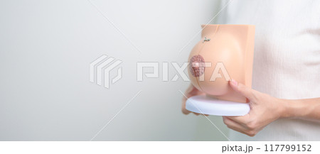 Woman holding Breast Anatomy model. Breast Augmentation Surgery, October Breast Cancer Awareness month, Pregnant, Diagnosis, Beauty woman enlargement and medical concept 117799152