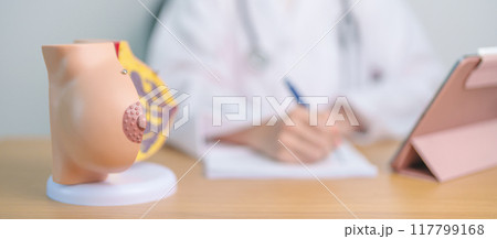 Doctor with Breast Anatomy model. Breast Augmentation Surgery, October Breast Cancer Awareness month, implant, Diagnosis, Beauty woman enlargement and medical education concept 117799168