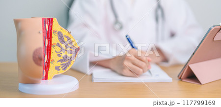 Doctor with Breast Anatomy model. Breast Augmentation Surgery, October Breast Cancer Awareness month, implant, Diagnosis, Beauty woman enlargement and medical education concept 117799169