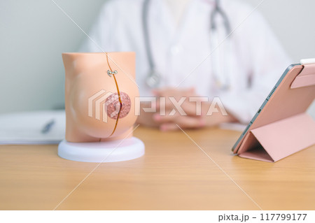 Doctor with Breast Anatomy model. Breast Augmentation Surgery, October Breast Cancer Awareness month, implant, Diagnosis, Beauty woman enlargement and medical education concept 117799177