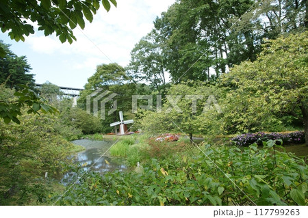 鳥取　四季の散歩　春　花回廊 117799263