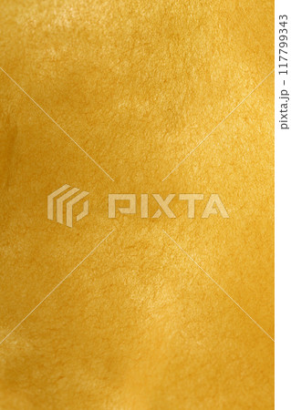 和紙と絹綿による背景素材（無地・ゴールド） 117799343
