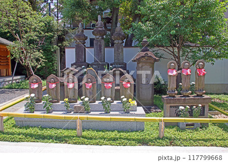 南蔵院(板橋) 南蔵院(板橋) 117799668
