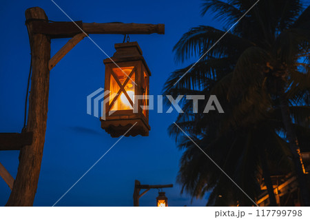 An old street lamp on a lamppost illuminating a dark street with palm trees An old street lamp on a lamppost illuminating a dark street with palm trees 117799798