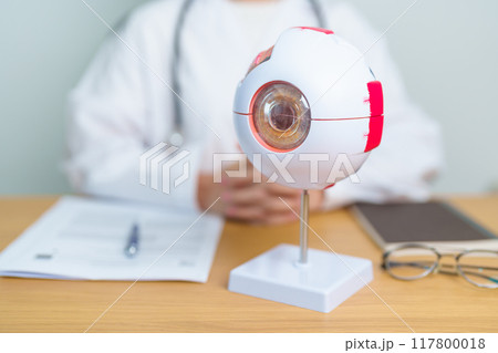 Doctor with human Eye anatomy model with magnifying glass. Eye disease, Refractive Errors, Age Related Macular Degeneration, Cataract, Diabetic Retinopathy, Glaucoma, Amblyopia, Strabismus and Health 117800018