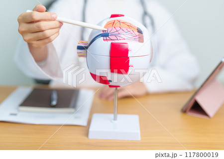 Doctor with human Eye anatomy model with magnifying glass. Eye disease, Refractive Errors, Age Related Macular Degeneration, Cataract, Diabetic Retinopathy, Glaucoma, Amblyopia, Strabismus and Health 117800019
