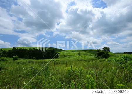 長者の森 117800240