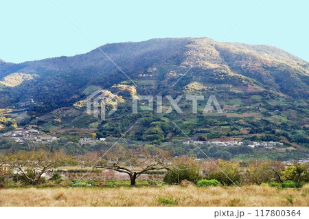 紀州富士　龍門山　和歌山県　観光地 117800364