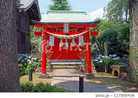 蓮沼氷川神社（板橋） 117800436