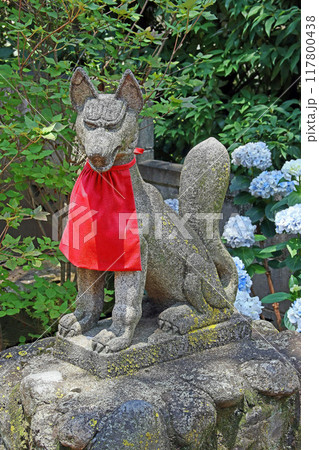 蓮沼氷川神社（板橋） 117800438