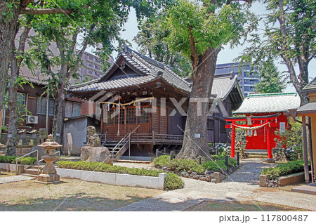 蓮沼氷川神社(板橋) 蓮沼氷川神社(板橋) 117800487