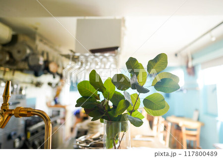 カフェの店内 カフェの店内 117800489