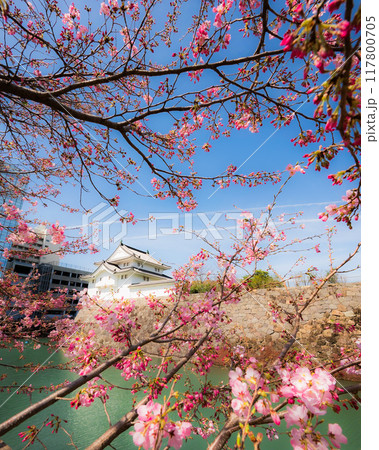 春訪れし駿府城の風景 117800705