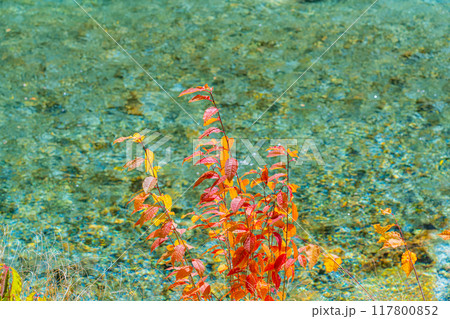 【秋素材】錦秋の上高地・トレッキング風景【長野県】 117800852