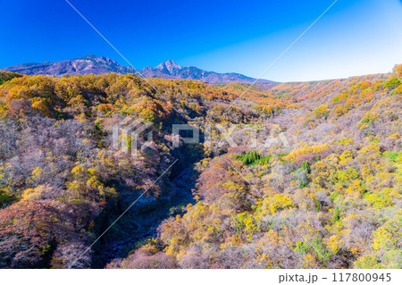 【秋素材】八ヶ岳大橋から見る紅葉時期の八ヶ岳と青空【山梨県】 117800945