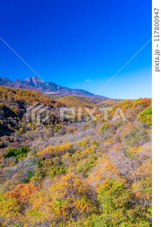 【秋素材】八ヶ岳大橋から見る紅葉時期の八ヶ岳と青空【山梨県】 117800947