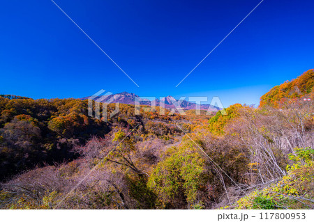 【秋素材】八ヶ岳大橋から見る紅葉時期の八ヶ岳と青空【山梨県】 【秋素材】八ヶ岳大橋から見る紅葉時期の八ヶ岳と青空【山梨県】 117800953