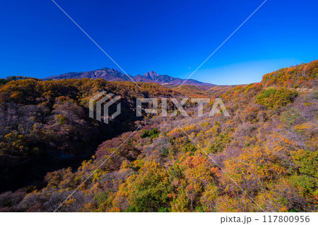 【秋素材】八ヶ岳大橋から見る紅葉時期の八ヶ岳と青空【山梨県】 【秋素材】八ヶ岳大橋から見る紅葉時期の八ヶ岳と青空【山梨県】 117800956
