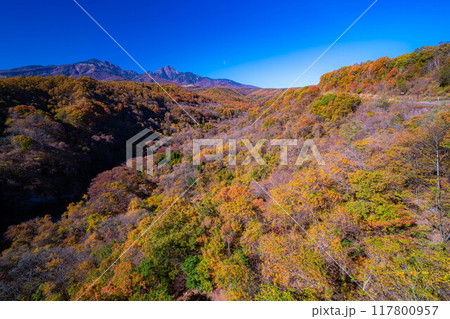 【秋素材】八ヶ岳大橋から見る紅葉時期の八ヶ岳と青空【山梨県】 【秋素材】八ヶ岳大橋から見る紅葉時期の八ヶ岳と青空【山梨県】 117800957
