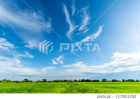 beautiful airatmosphere bright blue sky background abstract clear texture with white clouds. beautiful airatmosphere bright blue sky background abstract clear texture with white clouds. 117801292