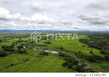 Terraced rice field at Mae Cham Chiangmai Northern Thailand Terraced rice field at Mae Cham Chiangmai Northern Thailand 117801795