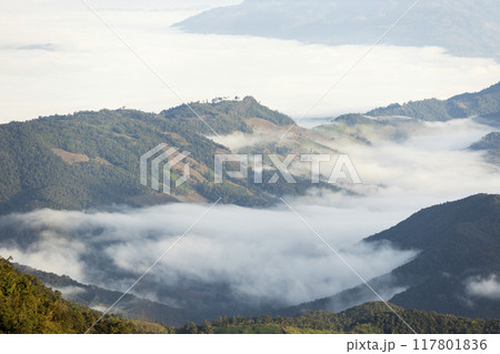 Landscape of Morning Mist with Mountain Layer at north of Thailand. mountain ridge and clouds in rural jungle bush forest Landscape of Morning Mist with Mountain Layer at north of Thailand. mountain ridge and clouds in rural jungle bush forest 117801836