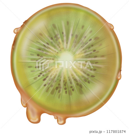 Kiwi tanghulu candied coating syrup of Chinese snacks fruits,Sweet dessert skewer hand drawn illustrations. Kiwi tanghulu candied coating syrup of Chinese snacks fruits,Sweet dessert skewer hand drawn illustrations. 117801874