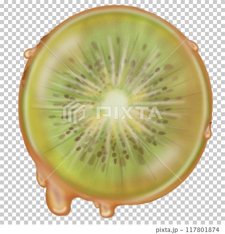 Kiwi tanghulu candied coating syrup of Chinese snacks fruits,Sweet dessert skewer hand drawn illustrations. Kiwi tanghulu candied coating syrup of Chinese snacks fruits,Sweet dessert skewer hand drawn illustrations. 117801874