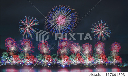 琵琶湖に映る夏の花 117801898