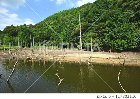 蒼霧鯉池 117802110