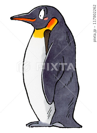 コウテイペンギン 117802262