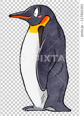 コウテイペンギン 117802262