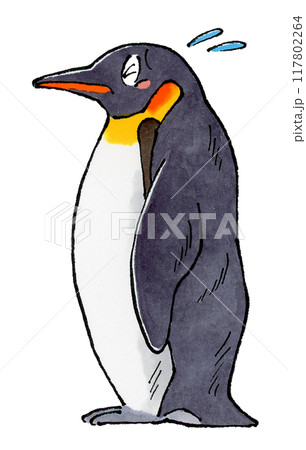 困るコウテイペンギン 困るコウテイペンギン 117802264