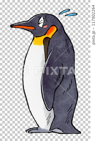 困るコウテイペンギン 困るコウテイペンギン 117802264