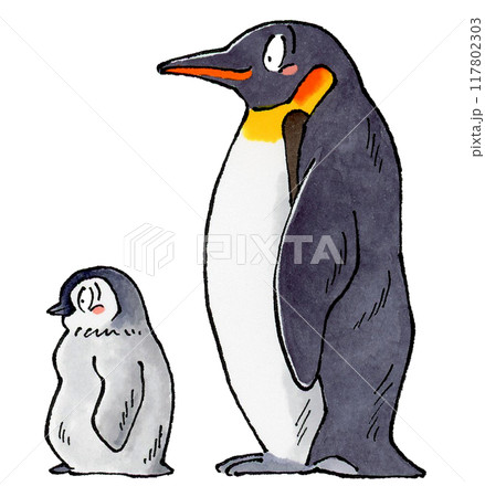コウテイペンギンの親子 117802303